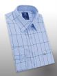 Check Formal Shirt