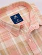 Half Sleeve Shirt